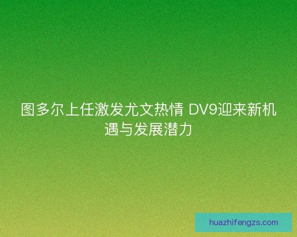 图多尔上任激发尤文热情 DV9迎来新机遇与发展潜力 图多尔上任激发尤文热情 DV9迎来新机遇与发展潜力